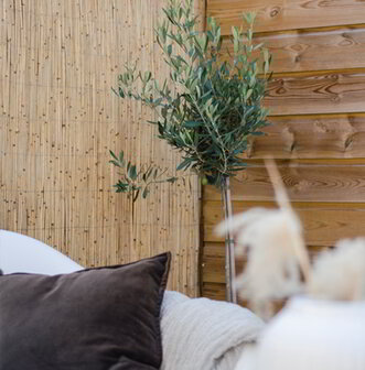 Schutting bekleden met riet