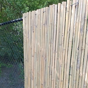 Natuurlijke hekwerkbekleding bamboe naturel