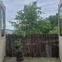 Balkon Bamboemat zwart
